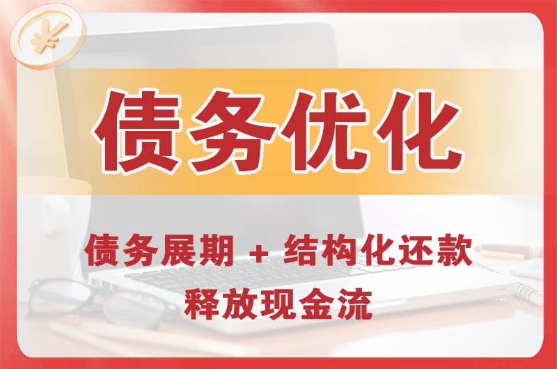 海西债务优化
